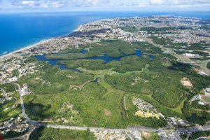 Vôo panorâmico de helicóptero em Salvador