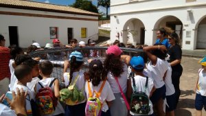 Aula Viva - Tema Africa  Escola Arco Íris com LuizGuia