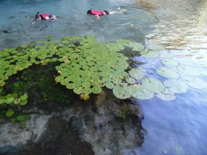 Chapada Diamantina Privativo 5 dias com familia de São Paulo