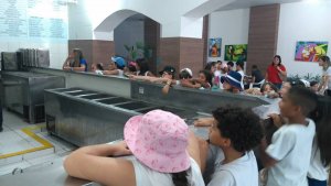 City no no Salvador Bus com a Escola ArcoIris 2017