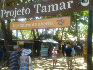 City Tour e Praia do Forte - SEMCOHA - Ba com Luiz Guia