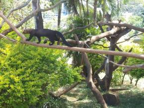 Colegio Cristo Redentor - AL. Museus, Parques, Zoologico - Atividades Pedagogicas em tres dias de aula de campo