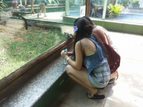 Colegio Cristo Redentor - AL. Museus, Parques, Zoologico - Atividades Pedagogicas em tres dias de aula de campo