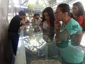 Colegio Cristo Redentor - AL. Museus, Parques, Zoologico - Atividades Pedagogicas em tres dias de aula de campo