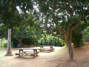 Colegio Cristo Redentor - AL. Museus, Parques, Zoologico - Atividades Pedagogicas em tres dias de aula de campo