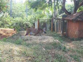 Colegio Cristo Redentor - AL. Museus, Parques, Zoologico - Atividades Pedagogicas em tres dias de aula de campo