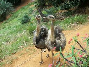 Colegio Cristo Redentor - AL. Museus, Parques, Zoologico - Atividades Pedagogicas em tres dias de aula de campo