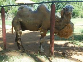 Colegio Cristo Redentor - AL. Museus, Parques, Zoologico - Atividades Pedagogicas em tres dias de aula de campo