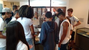 Colegio Interação de Feira de Santana-Ba Visita a Cidade Alta e Baixa Museu da Coelba e o Museu Eugênio Teixeira Leal