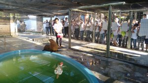 Colégio interação -Feira de Santana-Ba Visita Projeto Mamiferos Aquaticos e Parque das Dunas