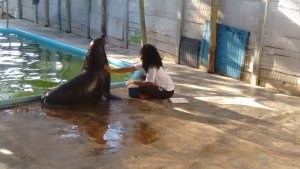 Colégio interação -Feira de Santana-Ba Visita Projeto Mamiferos Aquaticos e Parque das Dunas