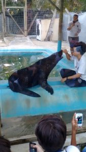 Colégio interação -Feira de Santana-Ba Visita Projeto Mamiferos Aquaticos e Parque das Dunas