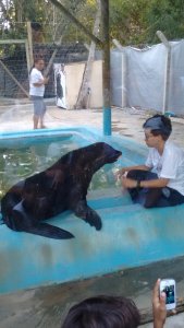 Colégio interação -Feira de Santana-Ba Visita Projeto Mamiferos Aquaticos e Parque das Dunas