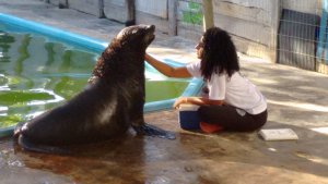 Colégio interação -Feira de Santana-Ba Visita Projeto Mamiferos Aquaticos e Parque das Dunas