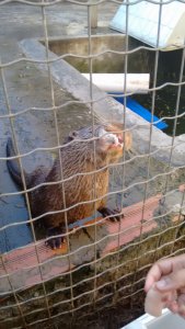 Colégio interação -Feira de Santana-Ba Visita Projeto Mamiferos Aquaticos e Parque das Dunas