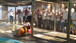 Colégio interação -Feira de Santana-Ba Visita Projeto Mamiferos Aquaticos e Parque das Dunas