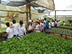 Escola Arco Iris Visita ao Horto Hidroponico  Camaçari-Ba