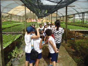 Escola Arco Iris Visita ao Horto Hidroponico  Camaçari-Ba
