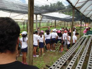 Escola Arco Iris Visita ao Horto Hidroponico  Camaçari-Ba