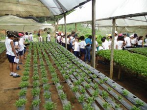 Escola Arco Iris Visita ao Horto Hidroponico  Camaçari-Ba