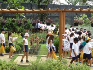 Escola Arco Iris Visita ao Horto Hidroponico  Camaçari-Ba