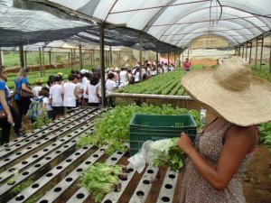 Escola Arco Iris Visita ao Horto Hidroponico  Camaçari-Ba