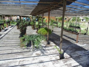 Escola Arco-Iris - Visita o Parque das Dunas (turma do 3º ano)