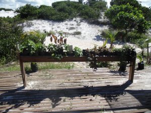 Escola Arco-Iris - Visita o Parque das Dunas (turma do 3º ano)