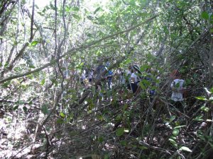 Escola Arco-Iris - Visita o Parque das Dunas (turma do 3º ano)