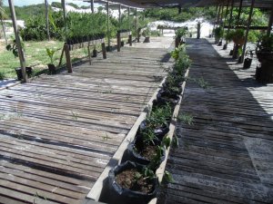 Escola Arco-Iris - Visita o Parque das Dunas (turma do 3º ano)