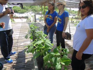 Escola Arco-Iris - Visita o Parque das Dunas (turma do 3º ano)