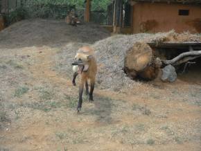 Escola Padre Braulinho - Zoo e Parque