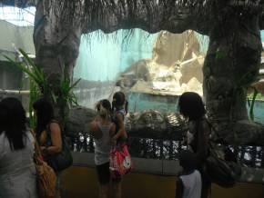 Escola Padre Braulinho - Zoo e Parque