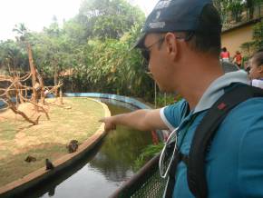 Escola Padre Braulinho - Zoo e Parque