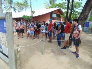 Escola Reis Magos de Bacabal-MA -  com o Tema Jorge Amado + City Tour, Praia do Forte, Voo de Helicoptero