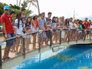 Escola Reis Magos de Bacabal-MA -  com o Tema Jorge Amado + City Tour, Praia do Forte, Voo de Helicoptero