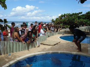 Escola Reis Magos de Bacabal-MA -  com o Tema Jorge Amado + City Tour, Praia do Forte, Voo de Helicoptero