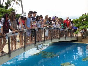 Escola Reis Magos de Bacabal-MA -  com o Tema Jorge Amado + City Tour, Praia do Forte, Voo de Helicoptero