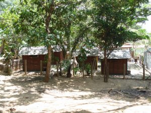 Escola Santa Tereza de Jesus / Crato-CE  Passeios Diversos em Salvador com Luiz Guia