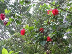 Feriado 08 de dezembro de 2014 na Chapada Diamantina