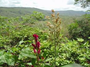 Feriado 08 de dezembro de 2014 na Chapada Diamantina