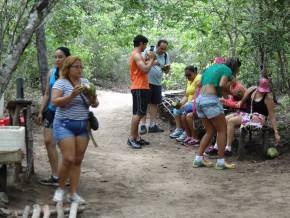 Feriado 08 de dezembro de 2014 na Chapada Diamantina