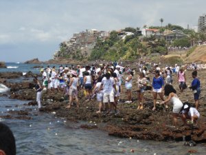 Festa de Yemanjá 2017 - Por LuizGuia