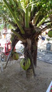 Grupo de Maragogi-AL em visita a Salvador