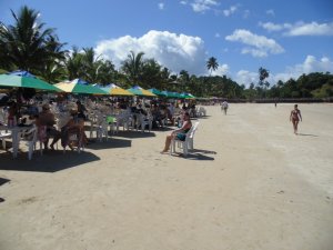 Grupo do Maranhão - Passeios em Salvador e região.