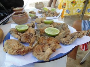 Grupo do Maranhão - Passeios em Salvador e região.