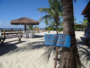 Grupo do Maranhão - Passeios em Salvador e região.