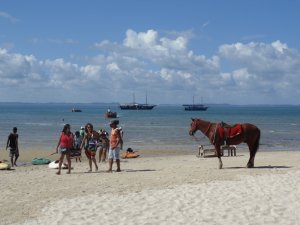 Grupo do Maranhão - Passeios em Salvador e região.