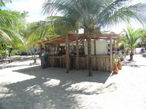 Grupo do Maranhão - Passeios em Salvador e região.