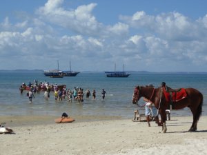 Grupo do Maranhão - Passeios em Salvador e região.